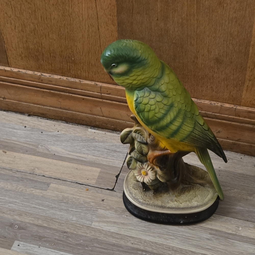 Green‎ and Yellow Parrot Reptile Decor